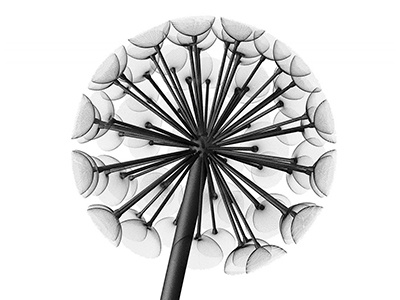 Фонарь уличный Данди 4м/1000 (комплект)