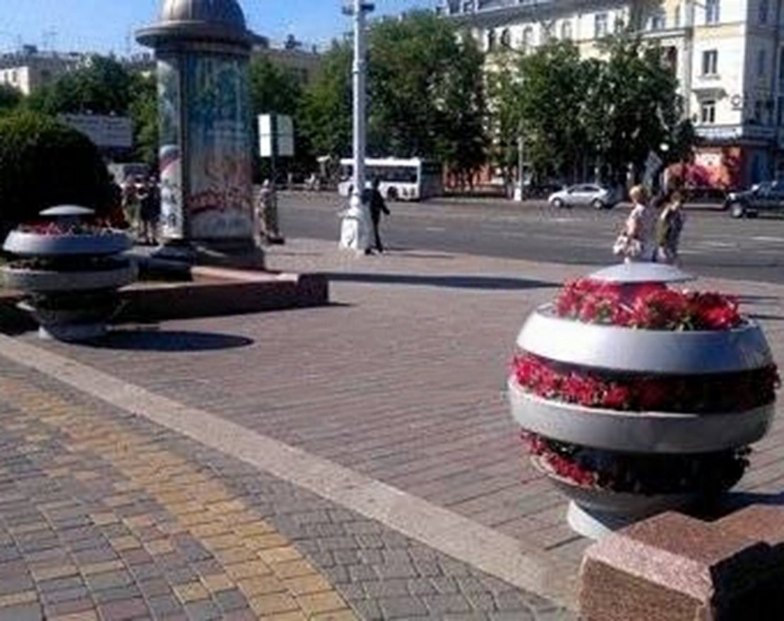 Цветочница Люмина - вид 4